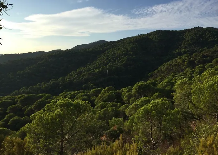 Cadiretes Casa vacanze Llagostera